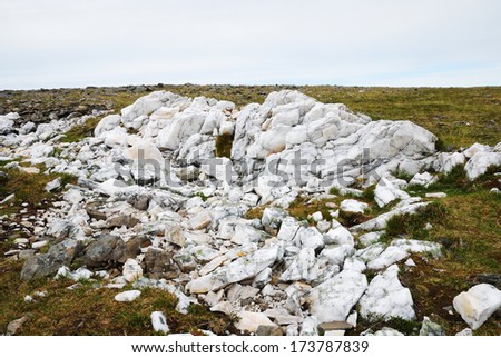 White marble stones on the moss soil under the overcast sky.
