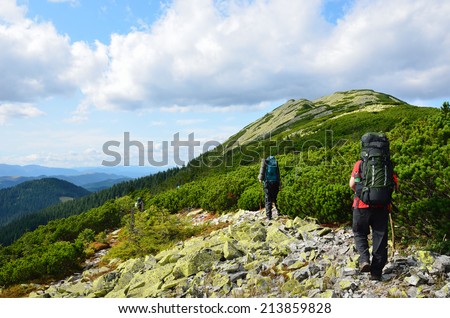 Several people are hiking on the slope overgrown with coniferous shrub. Tourists are carrying the large rucksacks. Hikers are walking through the mossy moraine.