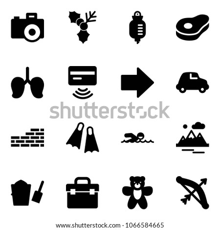 Solid vector icon set - camera vector, holly, drop counter, meat, lungs, tap pay, right arrow, car, brick wall, flippers, swimming, mountains, bucket scoop, tool box, bear toy, bow