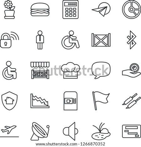 Thin Line Icon Set - satellite antenna vector, departure, coffee machine, disabled, manager, circle chart, pond, container, speaker, message, bluetooth, flower in pot, cook hat, alcove, kebab, flag