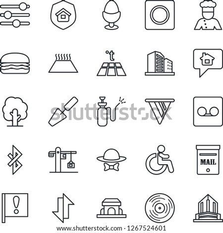 Thin Line Icon Set - disabled vector, trowel, tree, garden sprayer, important flag, vinyl, tuning, record, data exchange, bluetooth, mailbox, crane, estate insurance, cook, egg stand, cafe building