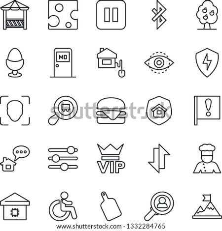 Thin Line Icon Set - vip vector, disabled, medical room, important flag, search cargo, pause button, protect, tuning, data exchange, bluetooth, face id, eye, fruit tree, smart home, estate insurance