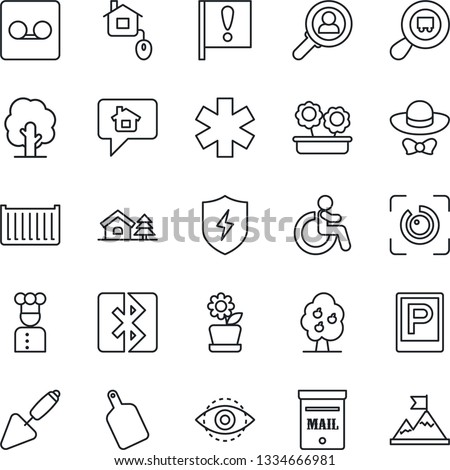 Thin Line Icon Set - parking vector, disabled, trowel, tree, ambulance star, important flag, cargo container, search, protect, record, bluetooth, eye id, house with, mailbox, fruit, flower in pot