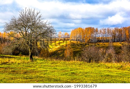 Autumn countryside landscape. Autumn nature landscape. Autumn landscape in autumnal nature