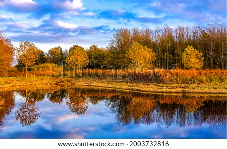 Autumn forest trees are reflected in the river. River in autumn forest. Forest river in autumn