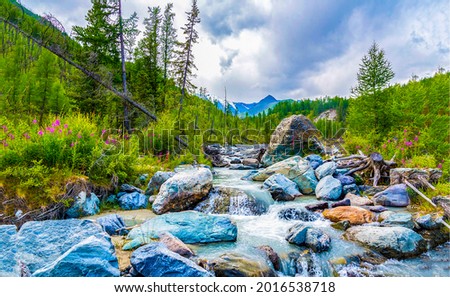 Stones in the creek in a mountain valley. Creek valley in mountains. Mountain valley creek flow