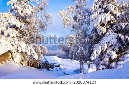 Snowy forest in winter scene. Winter snow forest village. Village in winter snow forest