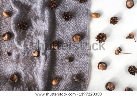 Image, Stock Photo Acorns, yarn and fluffy socks to show cozy and warmth feeling of the Autumn feeling