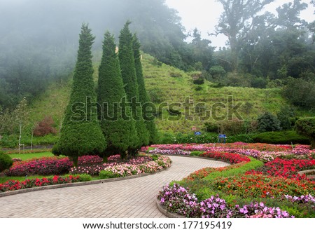 Flower garden and mist background from inthanon national park
