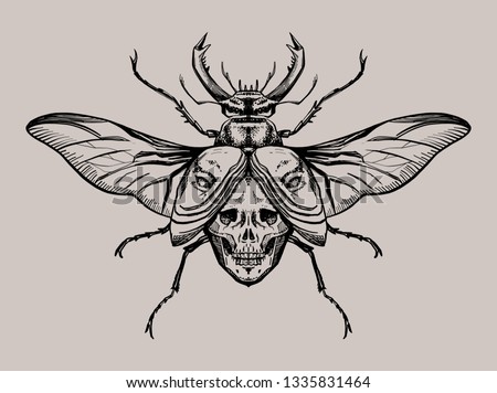 Featured image of post Tattoo Stag Beetle Drawing Most relevant best selling latest uploads