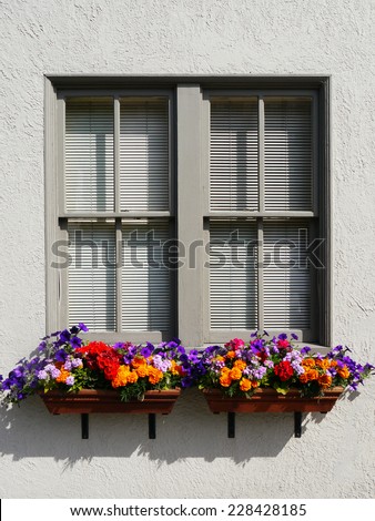 Gray Stucco Window with Marigold, Purple Petunia and Geranium Redwood Window Boxes