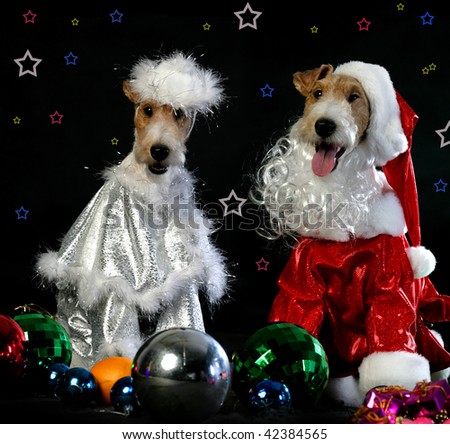 beautiful puppies in costume of Santa Claus and Snow Maiden