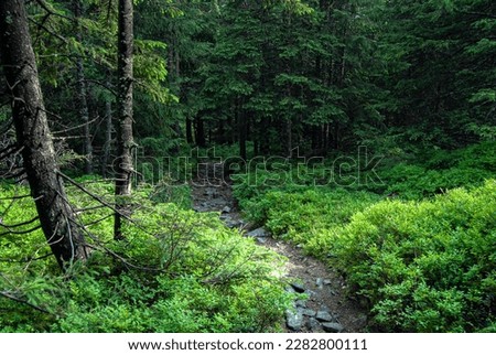 Similar – Image, Stock Photo Path through overgrown stone gate