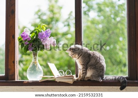 Similar – Image, Stock Photo Cat in a flower meadow