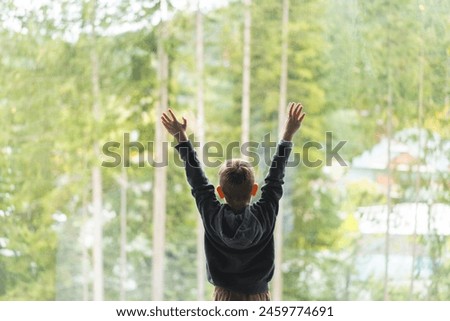 Similar – Image, Stock Photo Pine trees and residential buildings