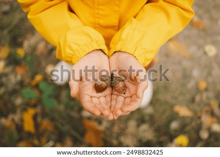 Similar – Image, Stock Photo Child playing with acorns