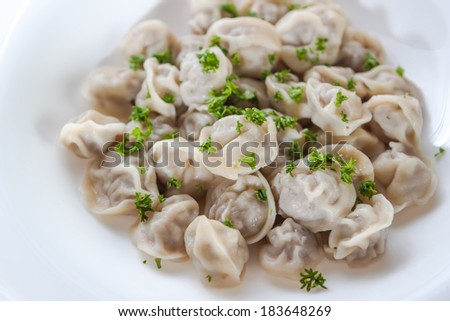 Meat dumplings with greens on a white background in a white plate