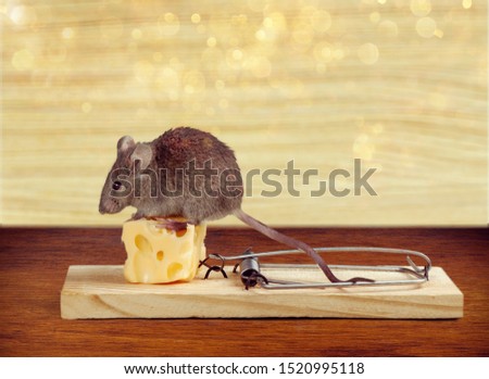 Shutterstock Puzzlepix