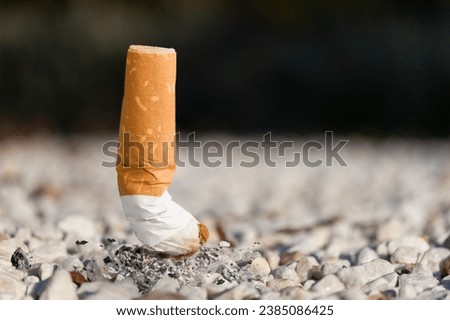 Similar – Image, Stock Photo Cigarette butts on the sidewalk