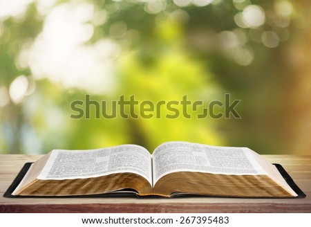 Book, Bible, Open.