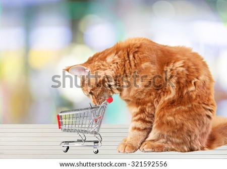 Shopping cat.
