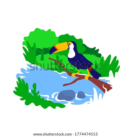 Amazon jungle 2D vector web banner, poster. Tropical climate zone. Toucan on tree. Brazilian wildlife flat scenery on cartoon background. Rainforest nature printable patch, colorful web element