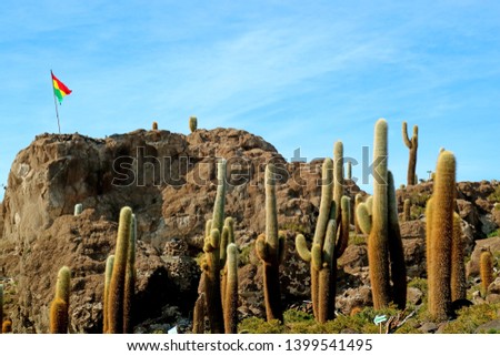 Similar – Image, Stock Photo Numerous flags in Salar de Uyuni, Bolivia