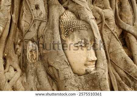 Similar – Image, Stock Photo Ancient ruins in Ayutthaya Historical Park, a famous tourist attraction in old city of Ayutthaya, Phra Nakhon Si Ayutthaya Province, Thailand