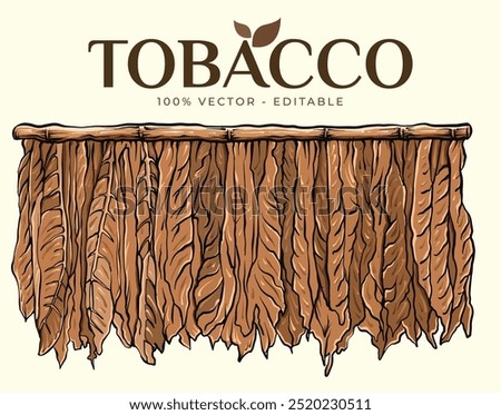 Process of Hanging Dried Tobacco Leaves. Background Vector EPS.10