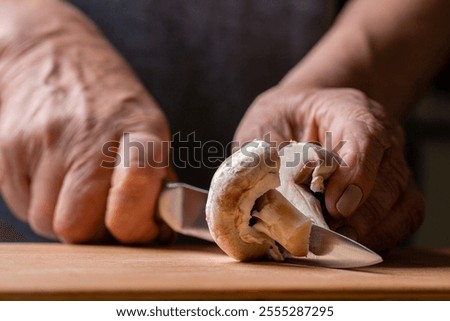 Similar – Image, Stock Photo Man is cutting wild oregano in the mountain