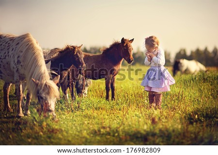 A cute white girl in jockey boots walking among little pony in the field on a sunny summer day