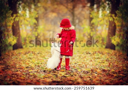 A lovely little girl in red coat and hat playing with a cute white Maltese dog in the park on a sunny autumn day. Kids and pets.