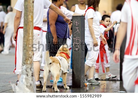 PAMPLONA, SPAIN-JULY 10: A dog in costume on street during San Fermin festival in Pamplona, Spain on July 10, 2013.