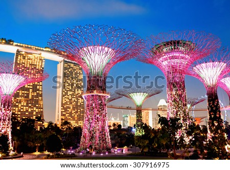 SINGAPORE - JANUARY 22: Night view of Supertree Grove at Gardens near Marina Bay January 22, 2014 in Singapore. Gardens by Bay was crowned World Building of Year at World Architecture Festival 2012