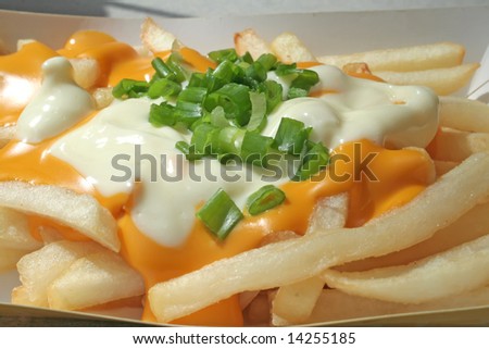 Cheese fries with melted cheese sauce