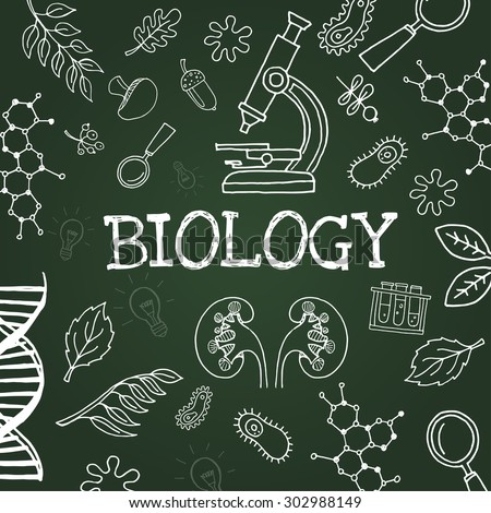 Vector Chalk Draw Biology Elements On Green Background. Eps10 ...