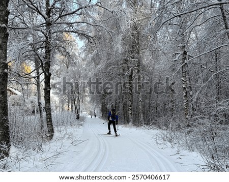 Similar – Image, Stock Photo Groomed ski trails for cross-country skiing in winter landscape in valley Studen, Switzerland famous for winter sport. Flat landscape is surrounded by mountains and illuminated by midday sun.