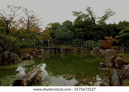 Similar – Image, Stock Photo The autumnal lily stone in the Elbe Sandstone Mountains