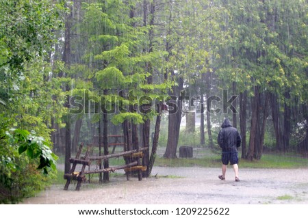 Similar – Image, Stock Photo Downpour at the campsite, seen from the tent.