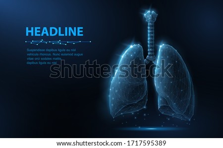 Lung. Abstract vector 3d lungs isolated on blue background. Human health, respiratory system, pneumonia illness, biology science, smoker asthma, healthcare concept. Internal organ anatomy illustration