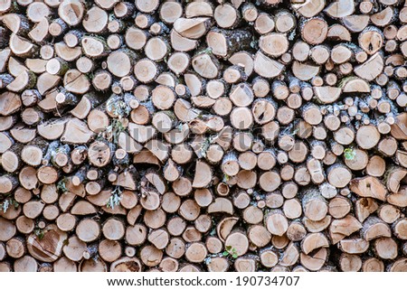 Rustless logs of trees in back yard of rural home.