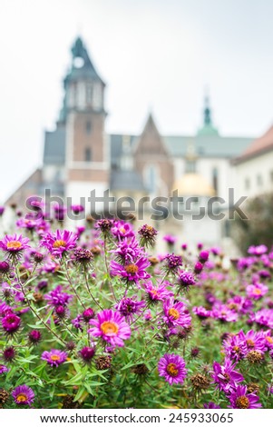 Wawel is fortified architectural complex erected over many centuries atop limestone outcrop on left bank of Vistula river in Krakow, Poland.