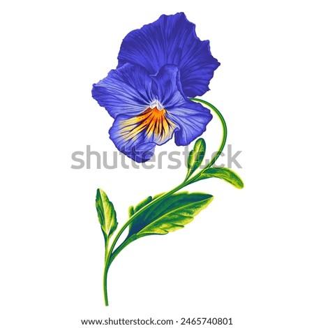 Similar – Image, Stock Photo Pansy flowers (heartsease) or viola tricolor violet yellow pansies background pattern. Field of colorful pansies with blue yellow, purple flowers. Wild spring heartsease flowers on flowerbed