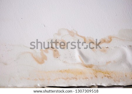 Shutterstock Puzzlepix