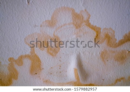 Shutterstock Puzzlepix