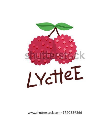 Vector illustration on the theme of the logo for Lychee, consisting of ripe cut half lychee and slice of fruit, still life composition