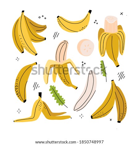 Banana, banana slice, peeled banana, banana peel - clipart set of hand drawn childish flat and linew style isolated on white background. Vector hand drawn illustration.