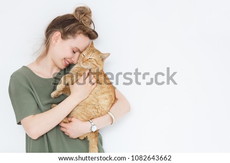 Similar – Image, Stock Photo House cat in his basket