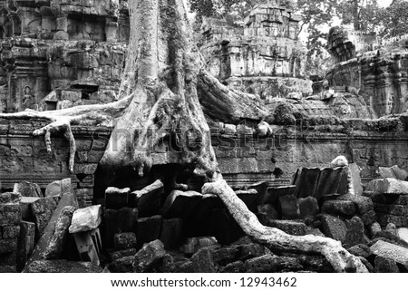 Ta Prohm Temple at Cambodia.  The one featured in \