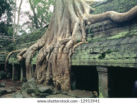 Ta Prohm Temple at Cambodia. The one featured in \